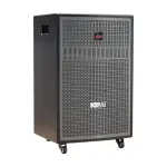 Loa Karaok ACNOS CB603GD