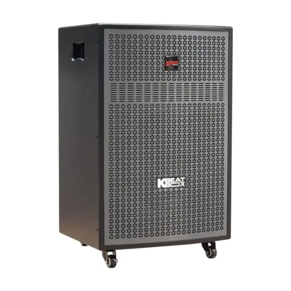 Loa Karaok ACNOS CB603GD