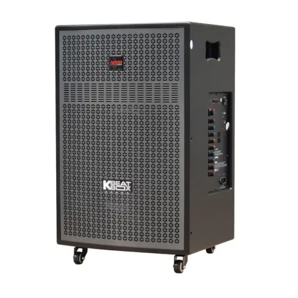 Loa Karaok ACNOS CB603GD
