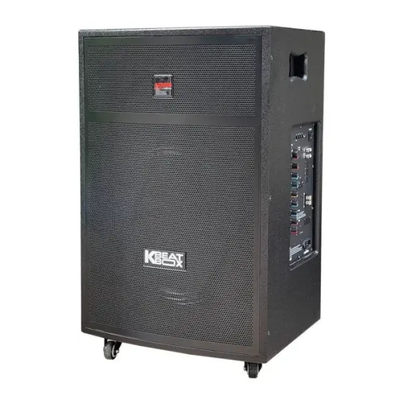 Loa Karaok ACNOS CB403GD
