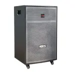 Loa Karaok ACNOS CB404GD