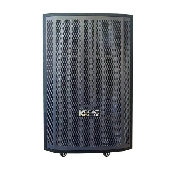 Loa Karaok ACNOS CB99GE