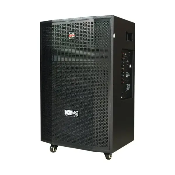 Loa Karaok ACNOS CB501G