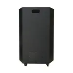 Loa Karaok ACNOS CB501G