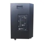 Loa Karaok ACNOS CB603GE