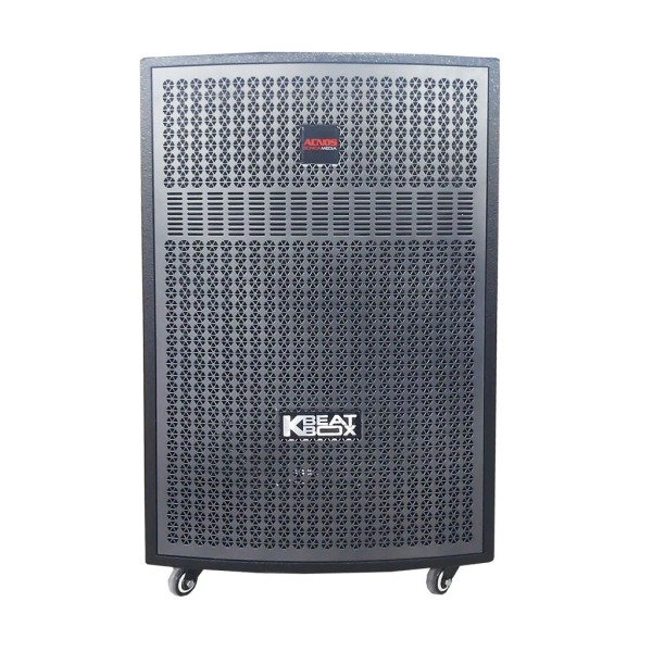 Loa Karaok ACNOS CB405G