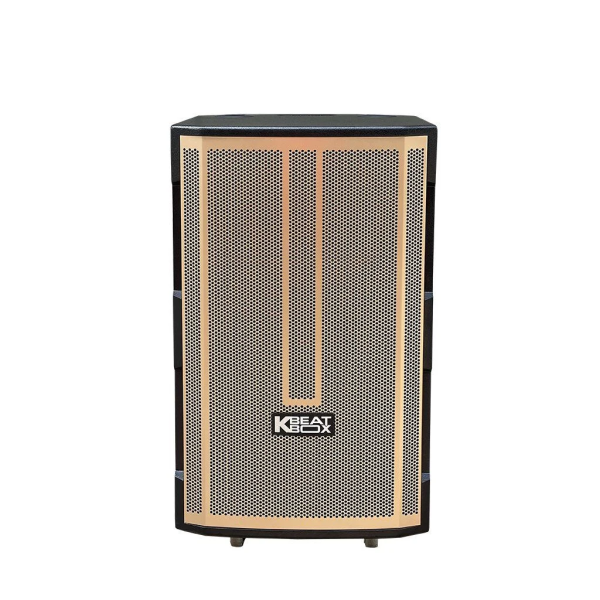 Loa Karaok ACNOS CB392G