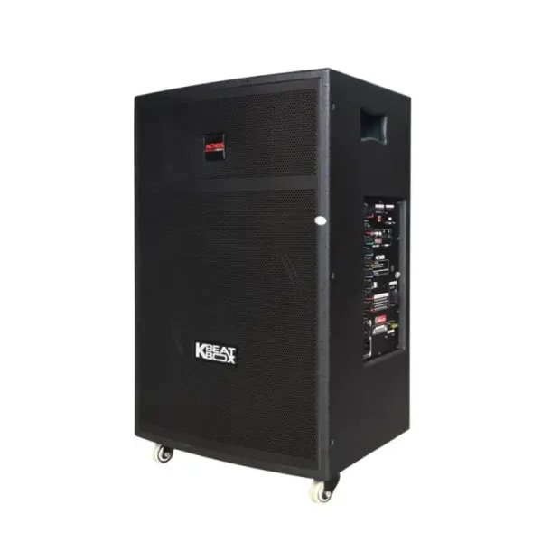 Loa Karaok ACNOS CB403GE