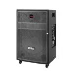 Loa Karaok ACNOS CB45G