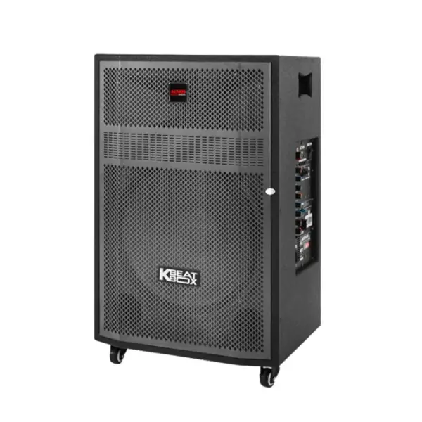 Loa Karaok ACNOS CB45G
