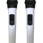 Loa Karaok ACNOS EB39