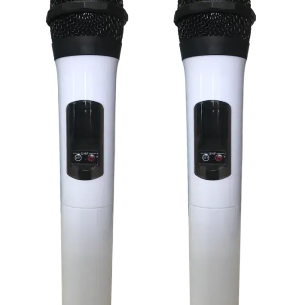 Loa Karaok ACNOS EB39