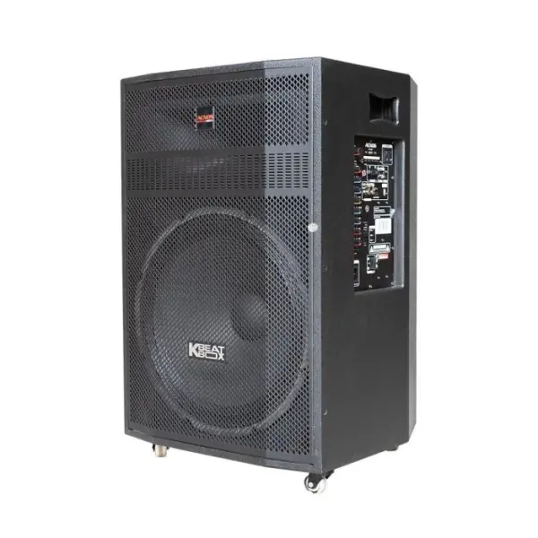 Loa Karaok ACNOS KB51