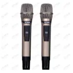 Loa Karaok ACNOS CS550 Đen