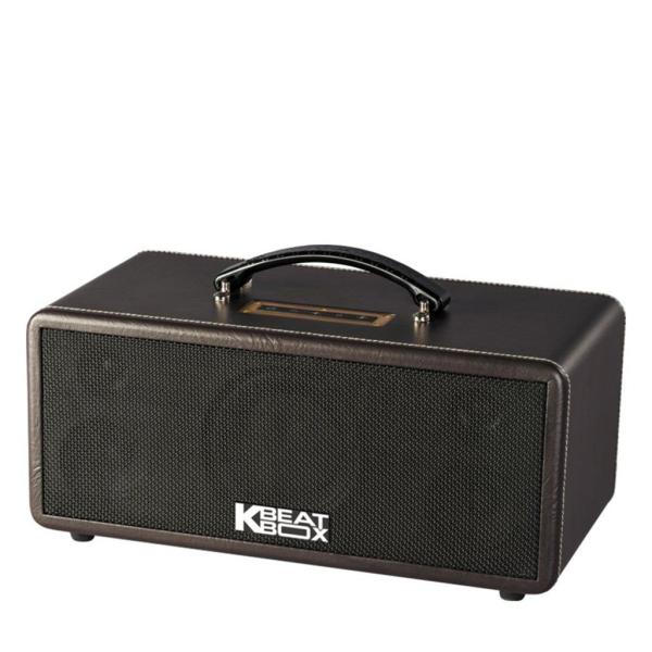 Loa Karaok ACNOS KS361M