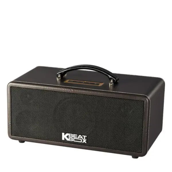 Loa Karaok ACNOS KS361M