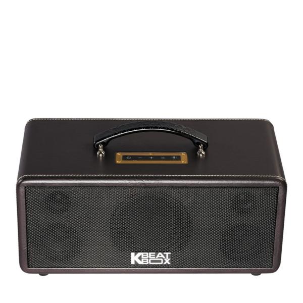 Loa Karaok ACNOS KS361M