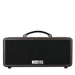 Loa Karaok ACNOS KS361M