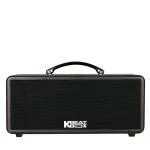 Loa Karaok ACNOS KS361M
