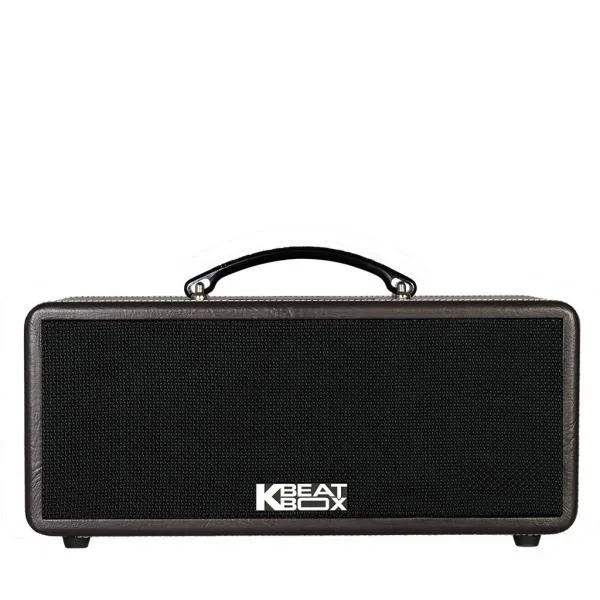 Loa Karaok ACNOS KS361M