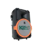 Loa Karaok ACNOS KB39U/X