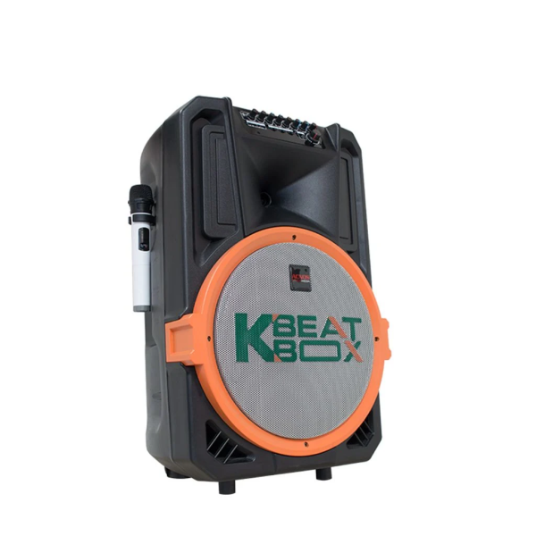 Loa Karaok ACNOS KB39K/L/S
