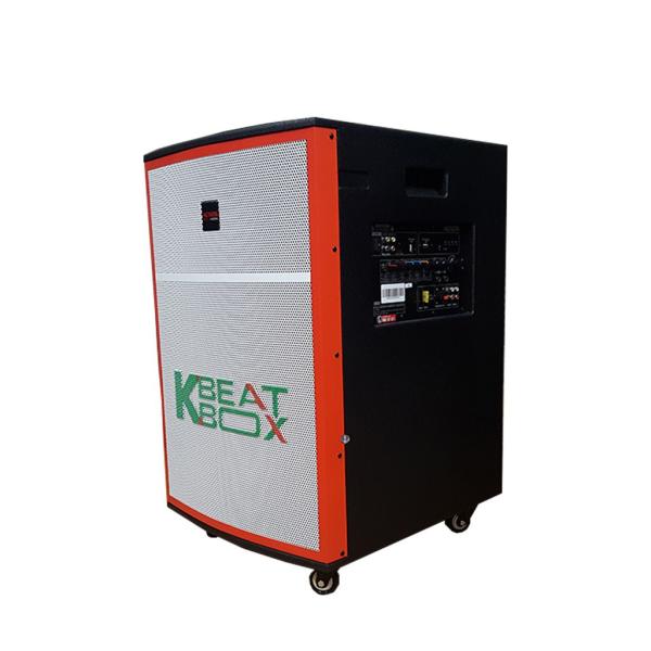 Loa Karaok ACNOS KB40