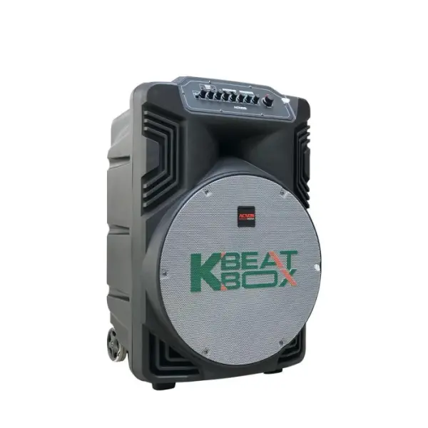 Loa Karaok ACNOS KB39Z