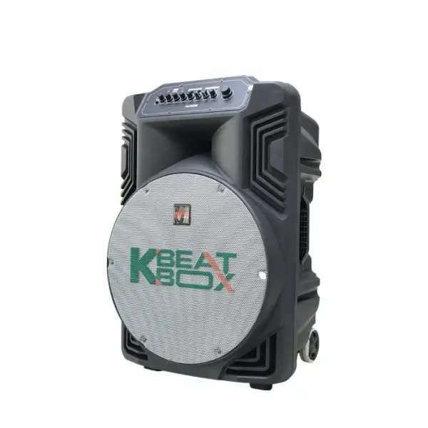Loa Karaok ACNOS KB39Z