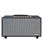 Loa Karaok ACNOS HiNet 450