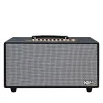 Loa Karaok ACNOS HiNet 450