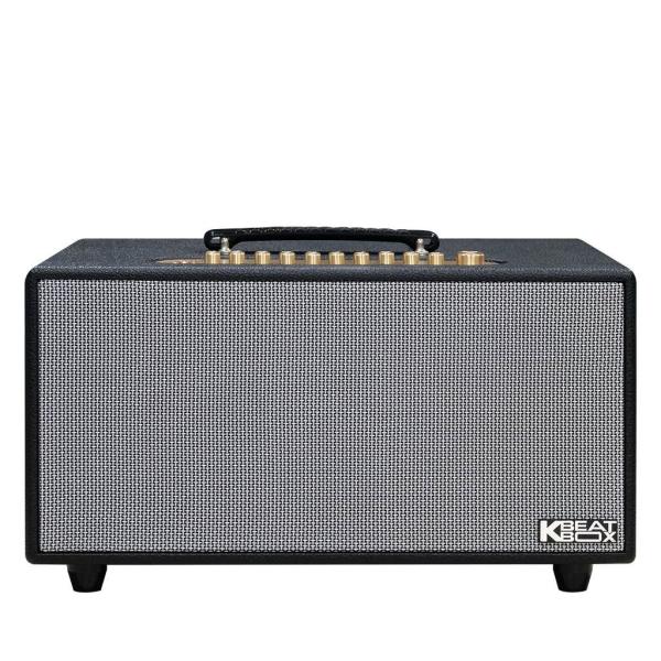 Loa Karaok ACNOS HiNet 450
