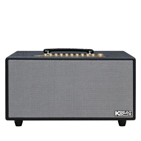 Loa Karaok ACNOS HiNet 450