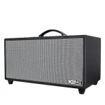 Loa Karaok ACNOS HiNet 450