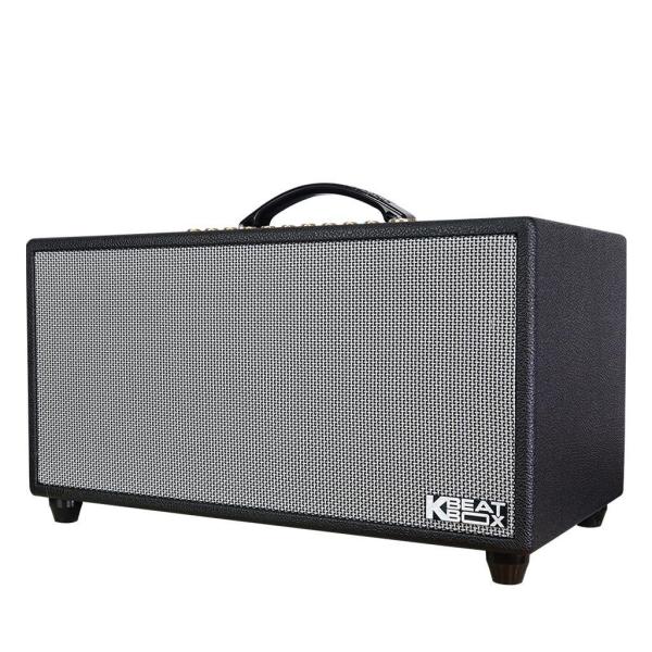 Loa Karaok ACNOS HiNet 450