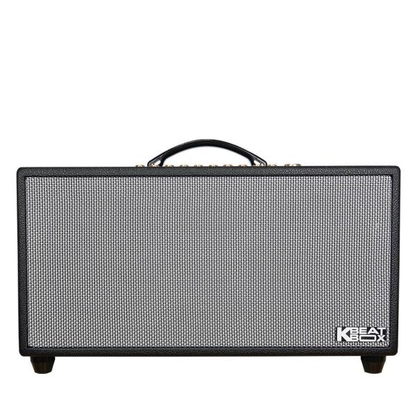 Loa Karaok ACNOS HiNet 450