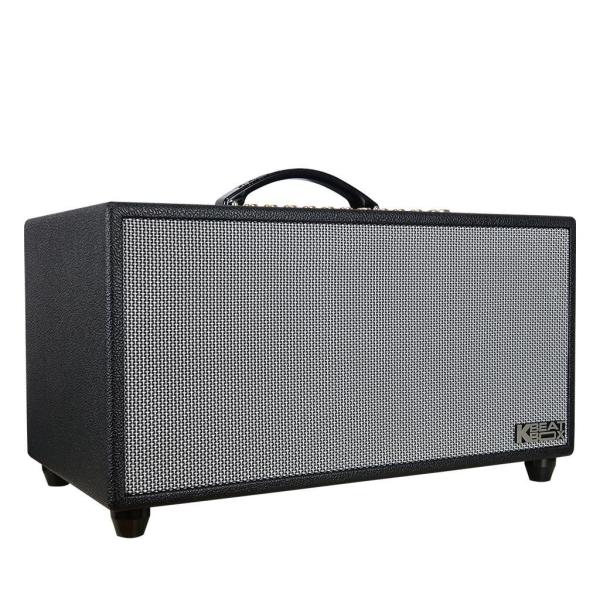 Loa Karaok ACNOS HiNet 450