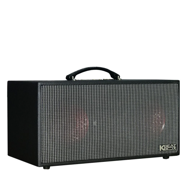 Loa Karaok ACNOS KSNET450