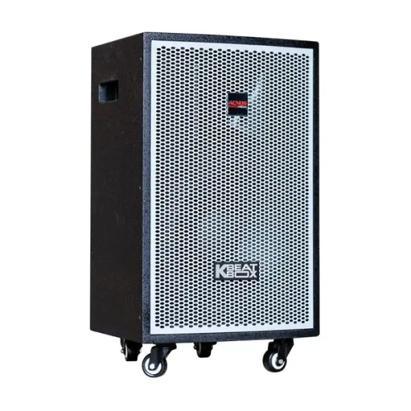 Loa Karaok ACNOS KDNET3011