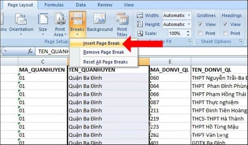 Cách ngắt trang tính Excel