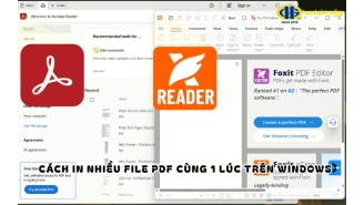 Cách in nhiều file PDF cùng lúc trên Win 11 cực dễ và nhanh chóng