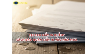 Tại sao giấy in bị ẩm? Cách bảo quản giấy in vào mùa mưa