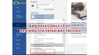 Odd pages only là gì? Mẹo hữu ích trình bày tài liệu chuyên nghiệp