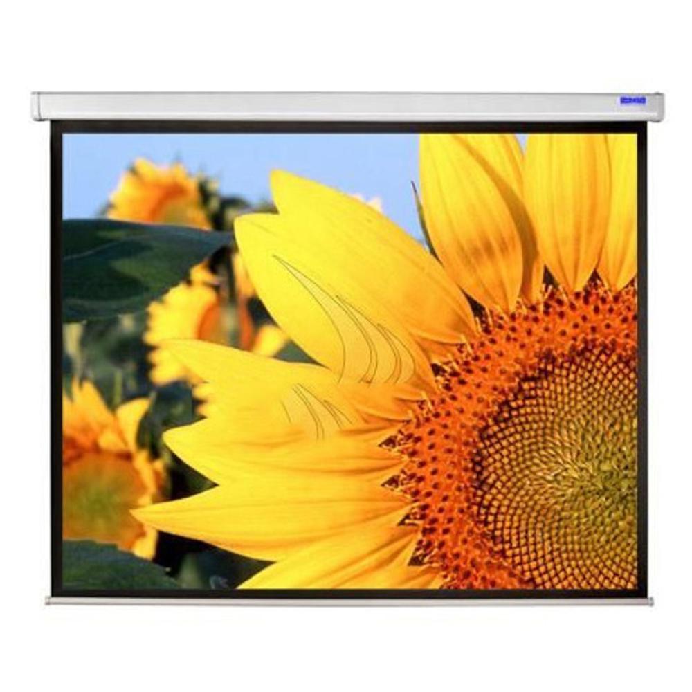 Màn chiếu treo tường Dalite P70WS 70 x 70 inch